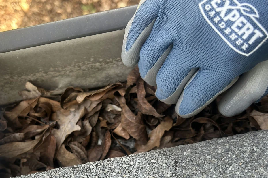 Gutter Cleaning Luling