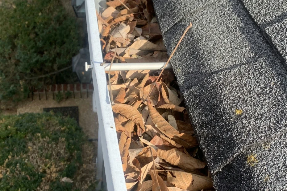 Gutter Cleaning Luling